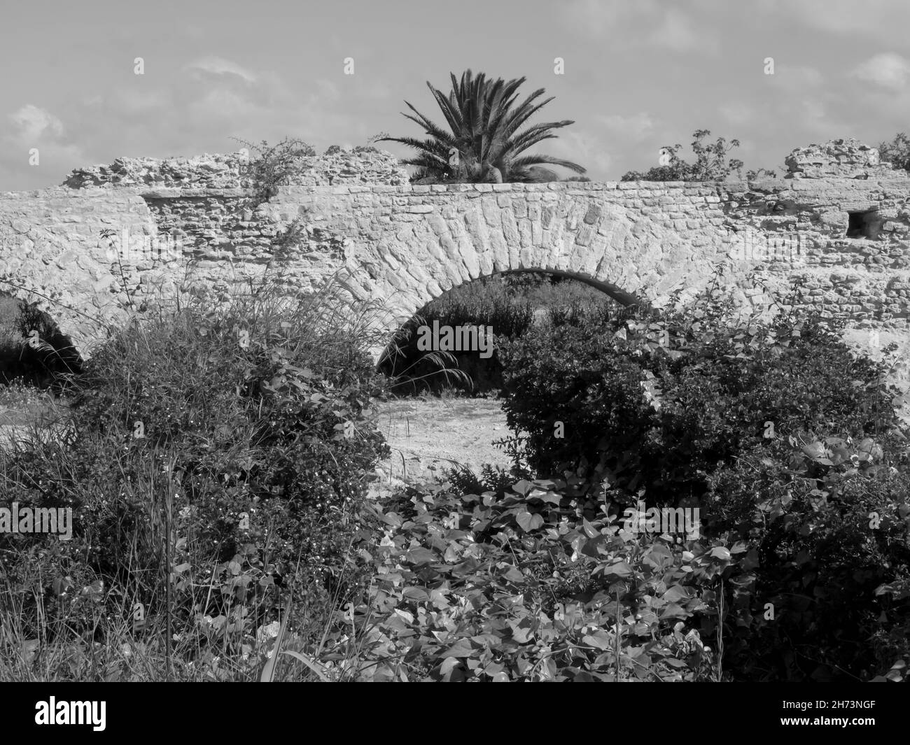 Die Stadt Tunis in Afrika Stockfoto