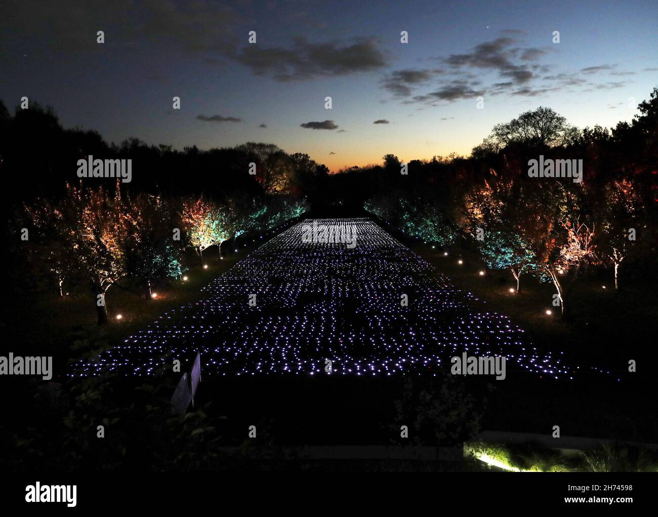 Brooklyn, USA. 20th. November 2021. Kinder und Erwachsene besuchen die Lichtinstallationen am Opening Night of Lightscape, einem immersiven, nach Einbruch der Dunkelheit beleuchteten Trail, der die Schönheit des Winters am Freitag, den 19. November 2021 im Brooklyn Botanic Garden feiert. Bis zum 9. Januar 2022 läuft der festliche Trail an bestimmten Terminen durch die 52 Hektar große Landschaft von BBG, die von über einer Million glitzernden Lichtern belebt wird. Foto von John Angelillo/UPI Credit: UPI/Alamy Live News Stockfoto