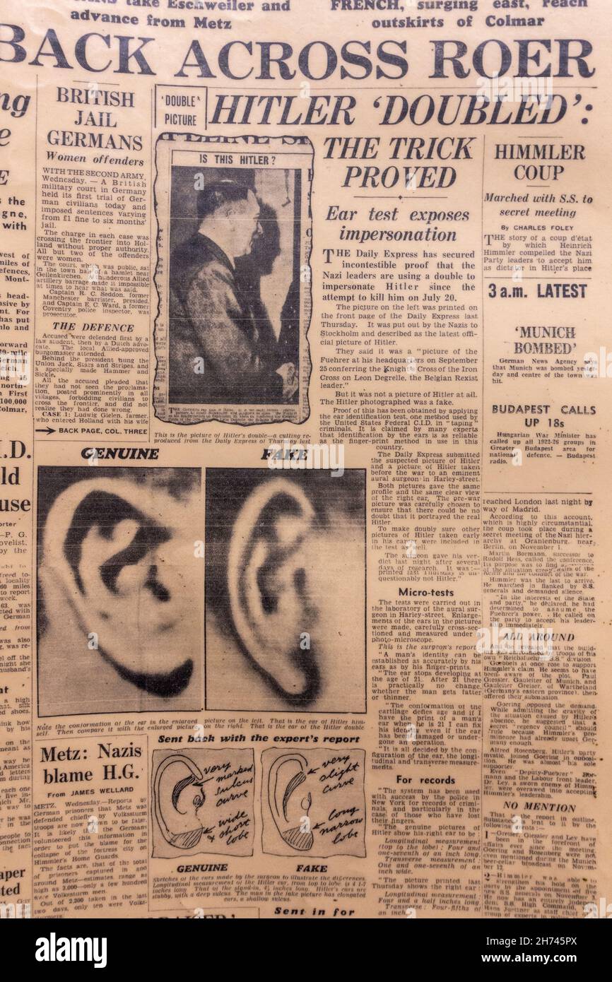 „Hitler 'verdoppelt': Der Trick bewiesen' Schlagzeile über Adolf Hitlers Doppelgänger auf der Titelseite des Daily Express am 23rd. November 1944. Stockfoto