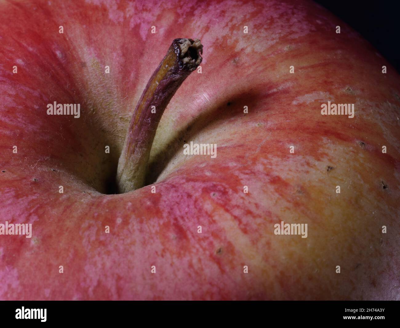 Makroaufnahme einer roten, reifen, frischen Bio-Textur mit gesunder, köstlicher Apfelhaut Stockfoto