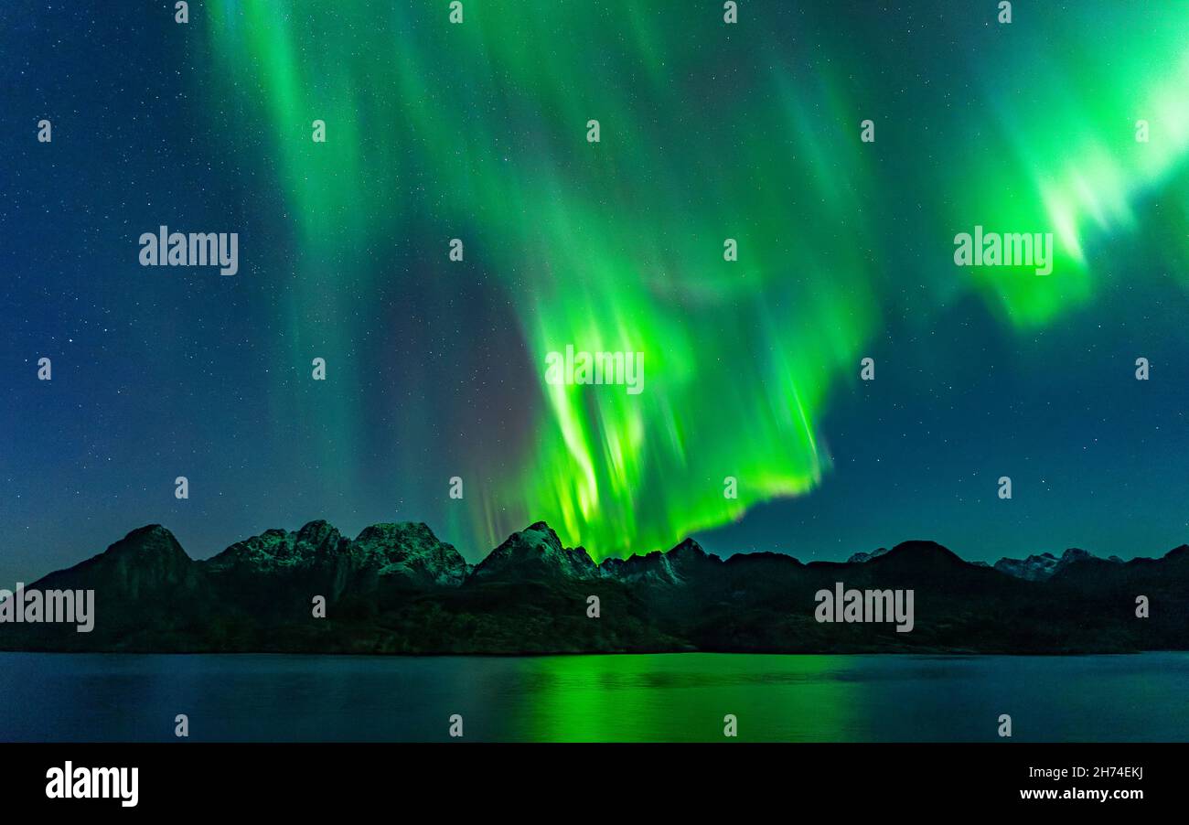 Durch den Raftsund mit dem Postschiff, unter wunderschönen Nordlichtern. tanzende Aurora Borealis in Grün, Gelb und Pink in den Lofoten, Norwegen. Stockfoto