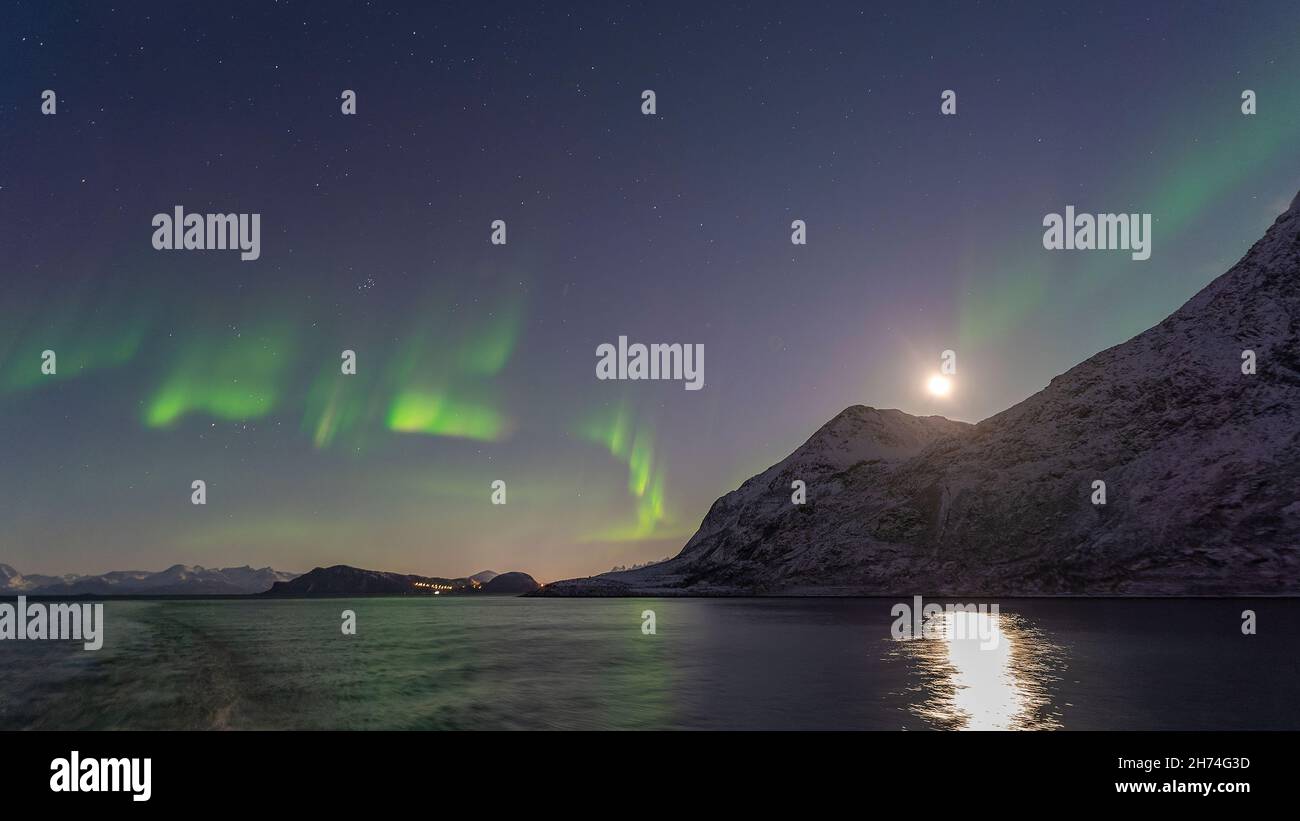 Nordlichter in den Lyngenalps, Aurora Borealis vom Schiff aus fotografiert. Zwischen Skervoj und Tromsø. Starkes Nordlicht, Schneeberge, Fjord, Kreuzfahrt. Stockfoto