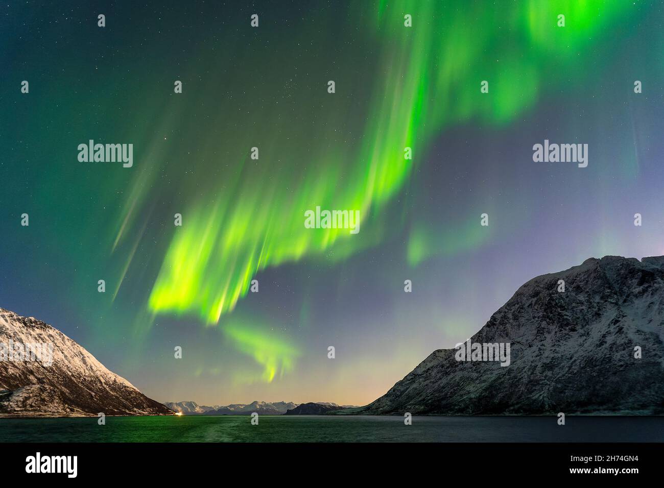 Nordlichter in den Lyngenalps, Aurora Borealis vom Schiff aus fotografiert. Zwischen Skervoj und Tromsø. Starkes Nordlicht, Schneeberge, Fjord, Kreuzfahrt. Stockfoto