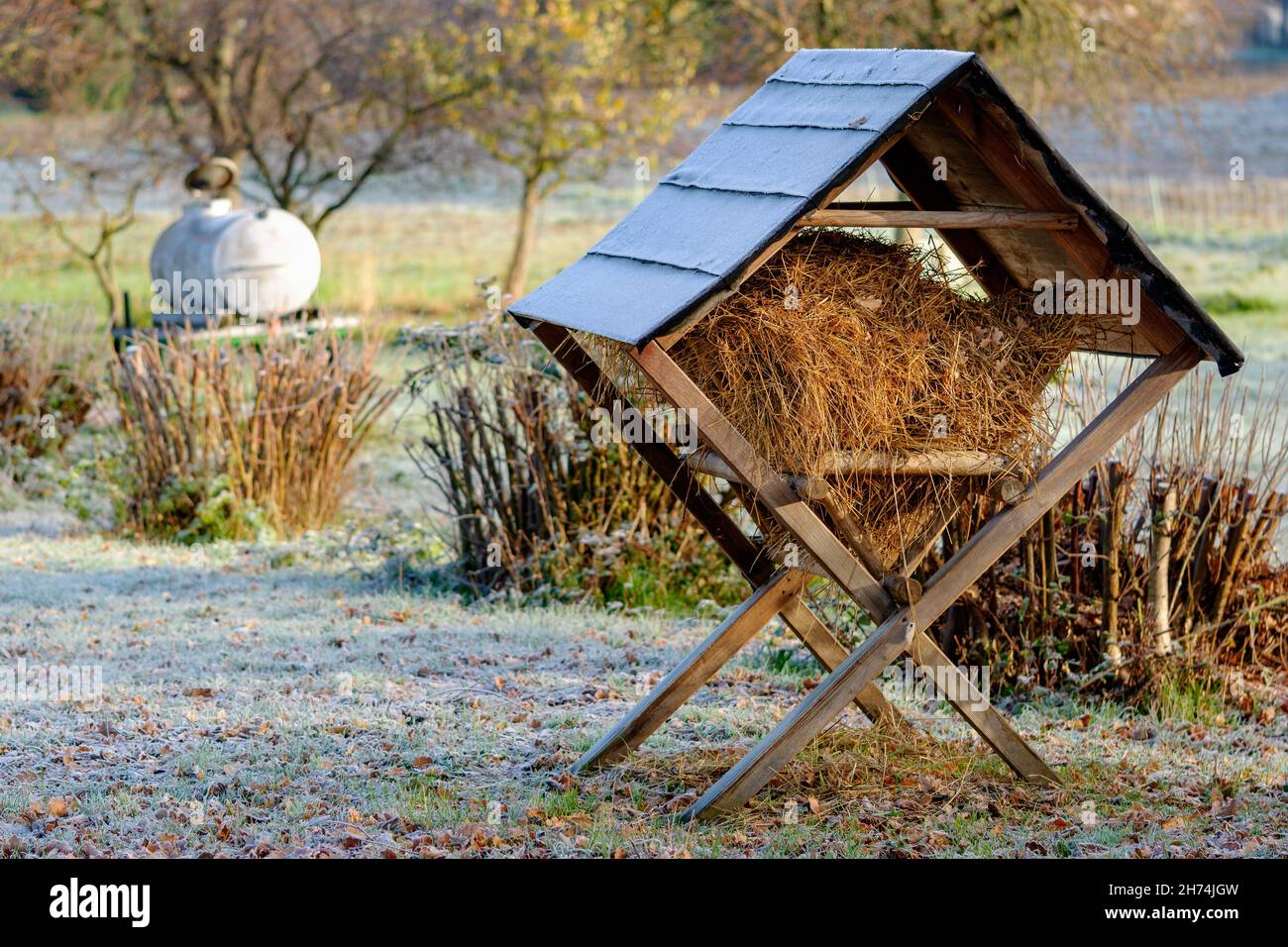 Geschützter hölzerner Futterständer, gefüllt mit Stroh, auf einer Weide, die an einem kalten Wintermorgen mit Reif bedeckt ist. Heuregale helfen Tieren, Futter zu finden. Stockfoto