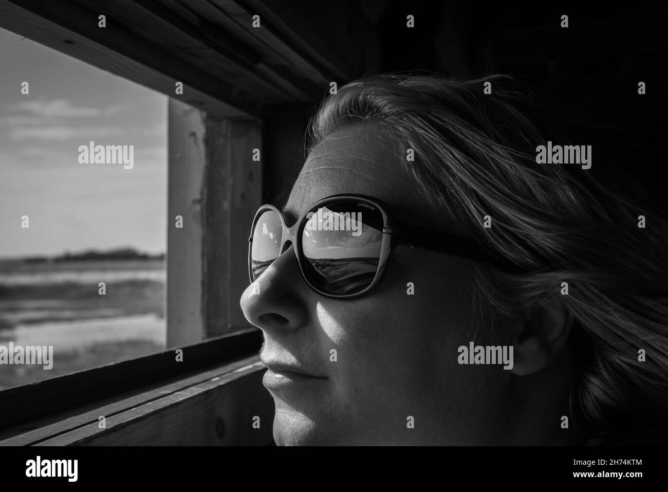 Reflexionen aus einer Vogelhütte Stockfoto
