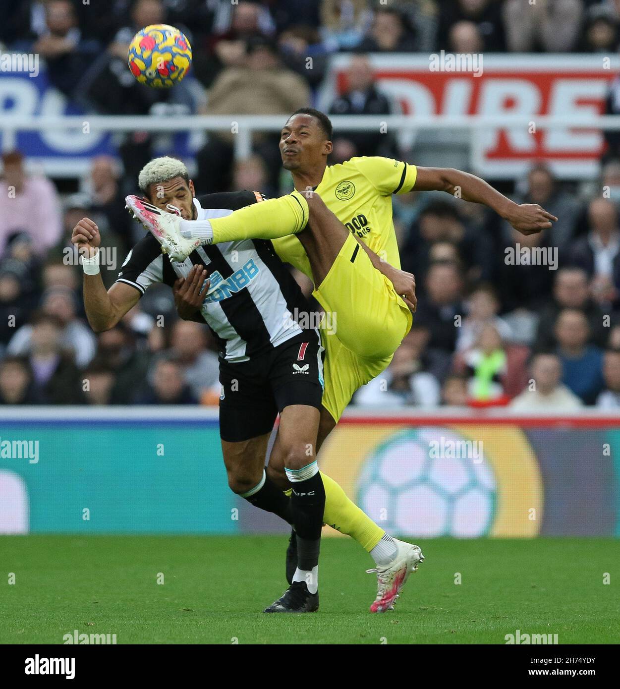 Newcastle, Großbritannien. NOV 20th Ethan Pinnock von Brentford und Joelinton von Newcastle United in Aktion während des Premier League-Spiels zwischen Newcastle United und Brentford im St. James's Park, Newcastle am Samstag, 20th. November 2021. (Kredit: Will Matthews | MI News) Kredit: MI News & Sport /Alamy Live News Stockfoto