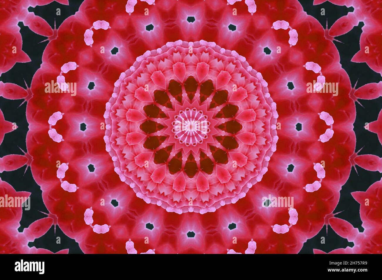 Konzentrische Blüten in Nahaufnahme. Kaleidoskopisches Design von Mandala. Esoterisches Zauberkonzept Stockfoto