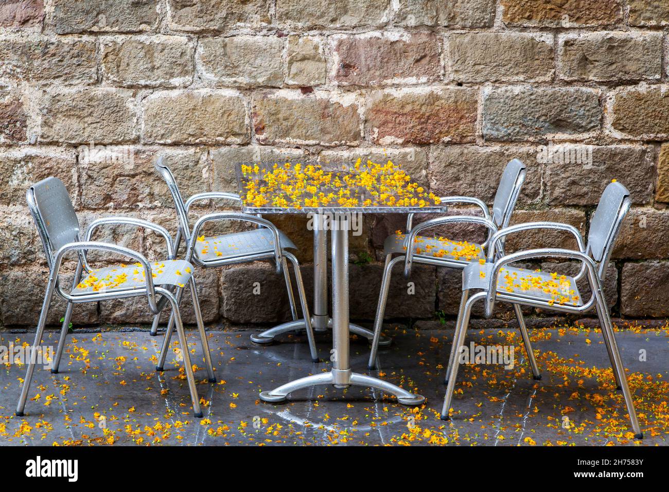 Der Tisch im Straßencafé war nach dem Regen mit gelb gefallenen Blumen bedeckt Stockfoto