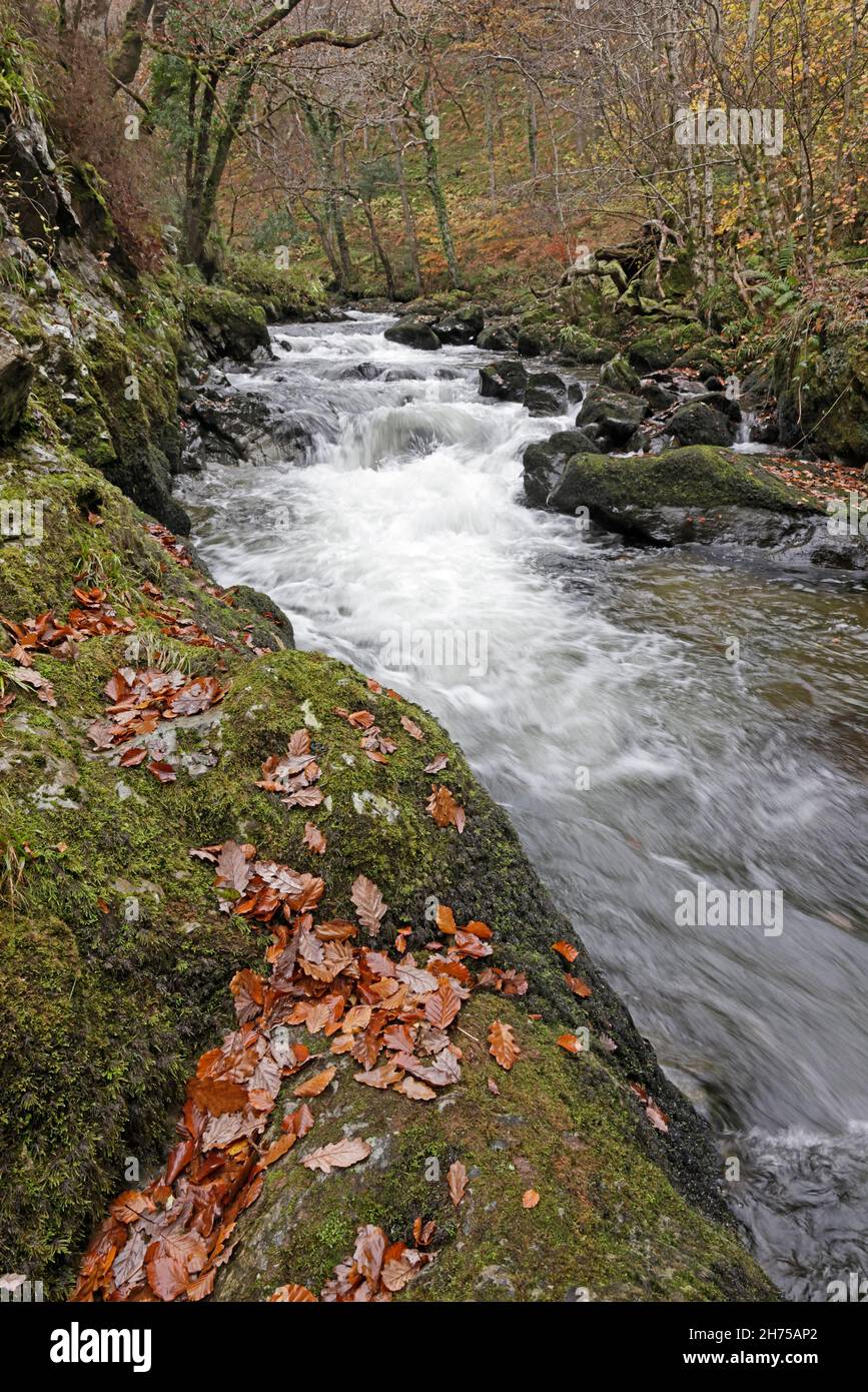East Lyn River im Herbst Devon UK Stockfoto
