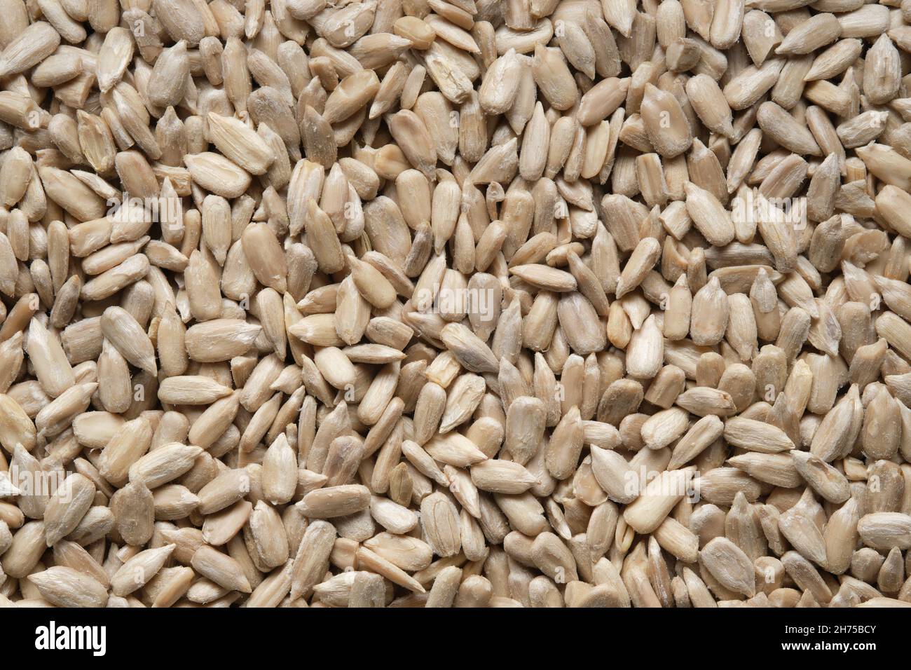 Geschälte Sonnenblumenkerne Hintergrund. Textur der Sonnenblumenkerne. Draufsicht, flach liegend. Stockfoto