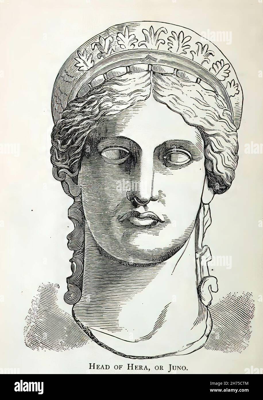 Illustration des Stichs des Hauptes von Hera aus dem 19th. Jahrhundert Stockfoto