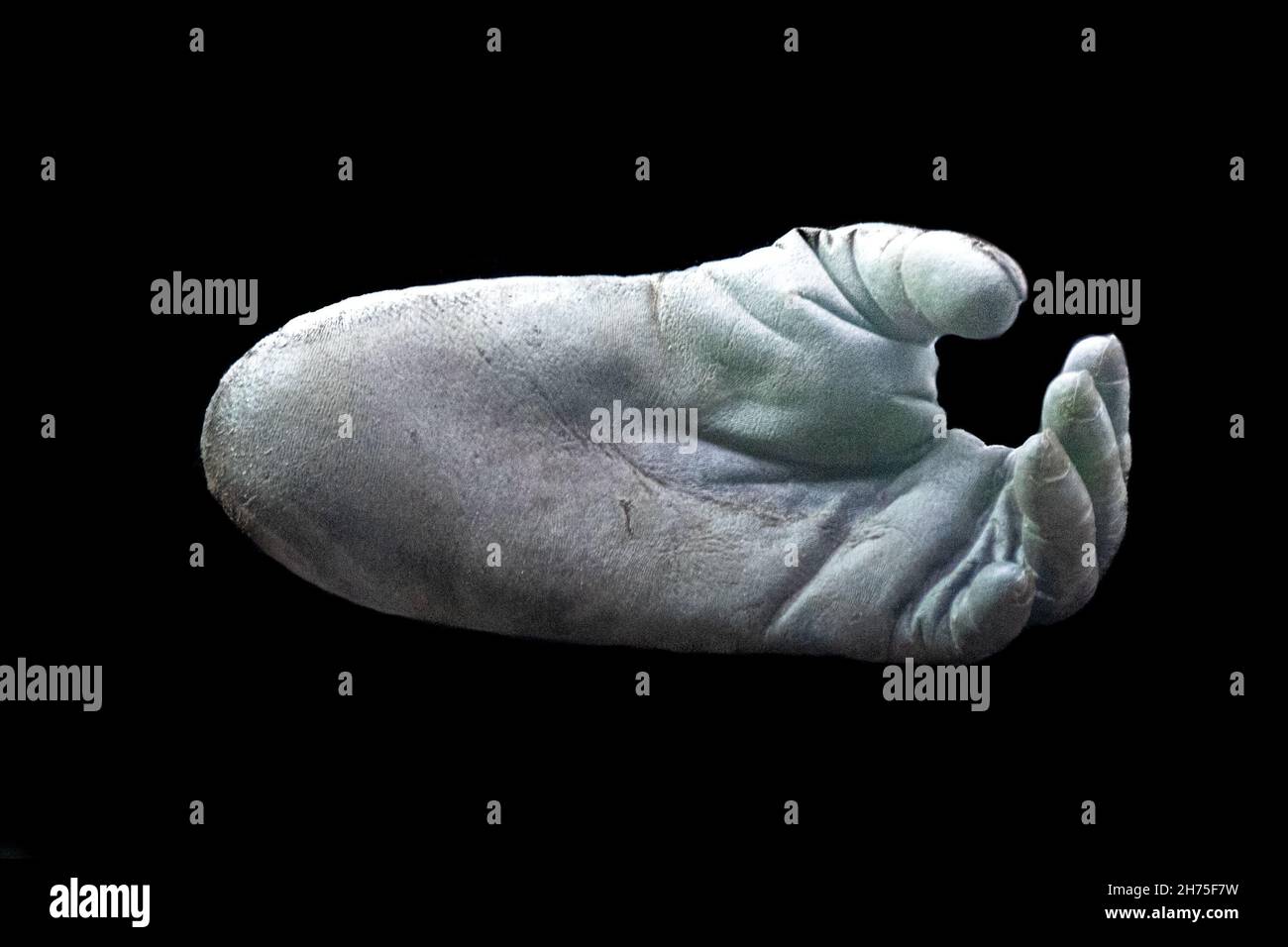 Kunstdruck eines Gorilla-Hinterpfote-Fußes Stockfoto