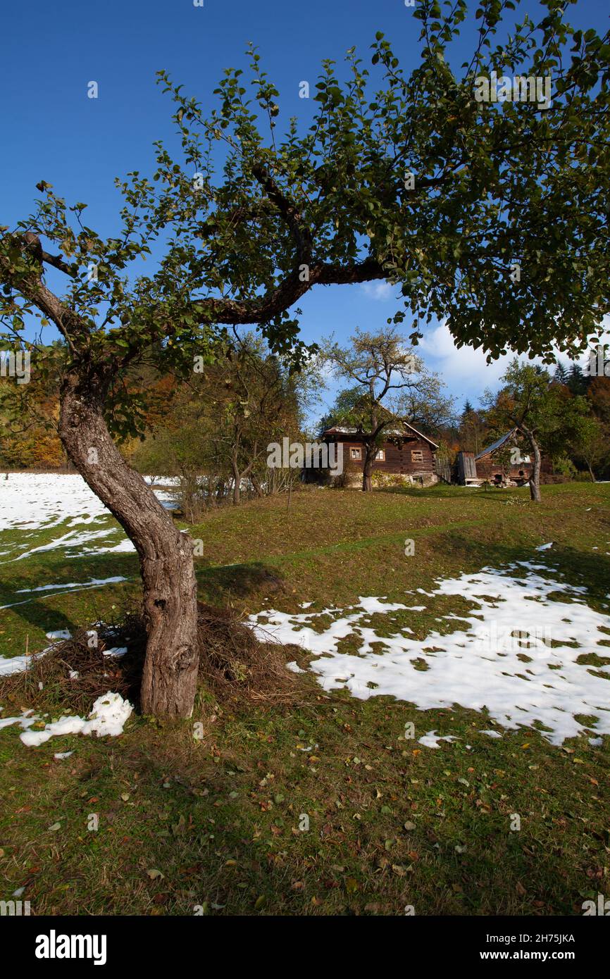 Blick auf ein altes Holzhaus an einem abgelegenen Ort mit alten Bäumen Stockfoto