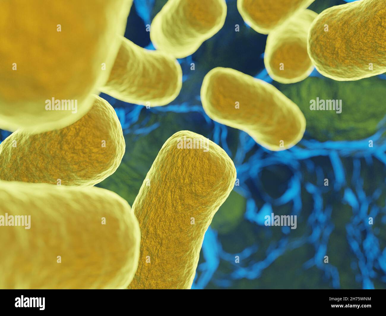 Gelber Schleim Bakterien Oder Viren www.alamy.de