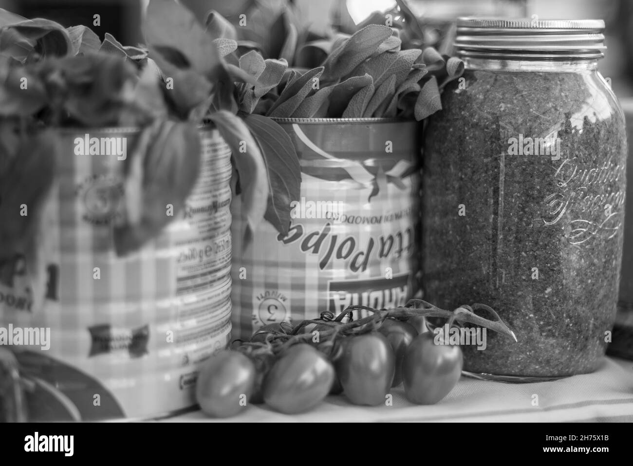 Tischdarstellung von Pesto, Tomaten und frischem Basilikum Stockfoto