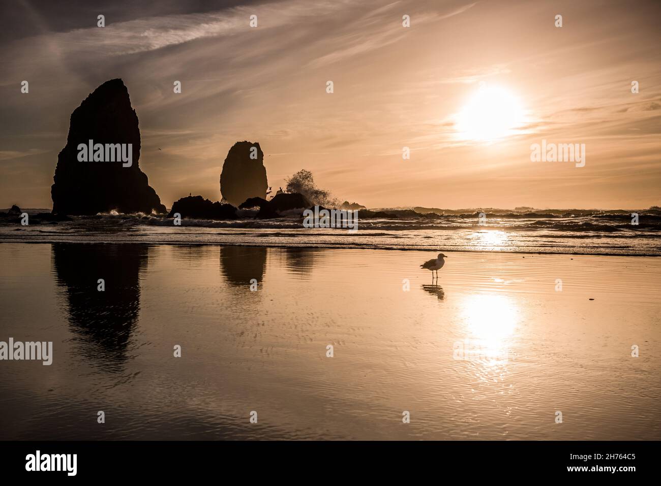 Die Nadeln Wellen und Möwe auf Cannon Strand bei Sonnenuntergang Stockfoto