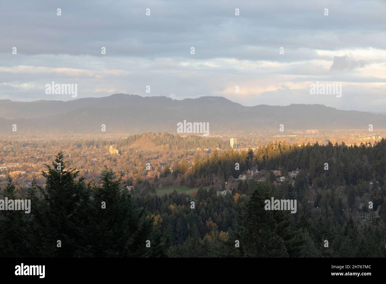 Licht, Schatten und Dunst über Eugene, Oregon. Stockfoto