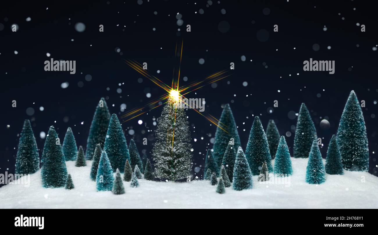 Schneite Winterwunderland mit Miniatur-Baumschmuck und einem funkelnden Stern auf Weihnachtsbaum. Stockfoto