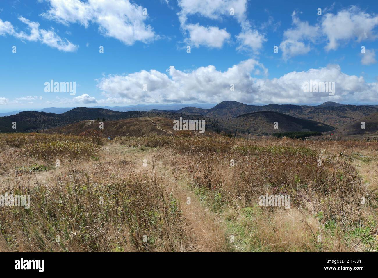 Der Black Knob Trail in den Appalachian Mountains bei Asheville, North Carolina. Stockfoto