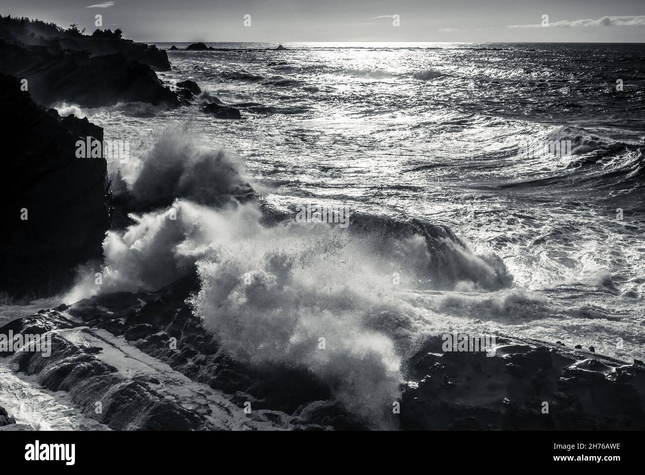 Schwarze und weiße Wellen und Klippen im Shore Acres State Park Stockfoto