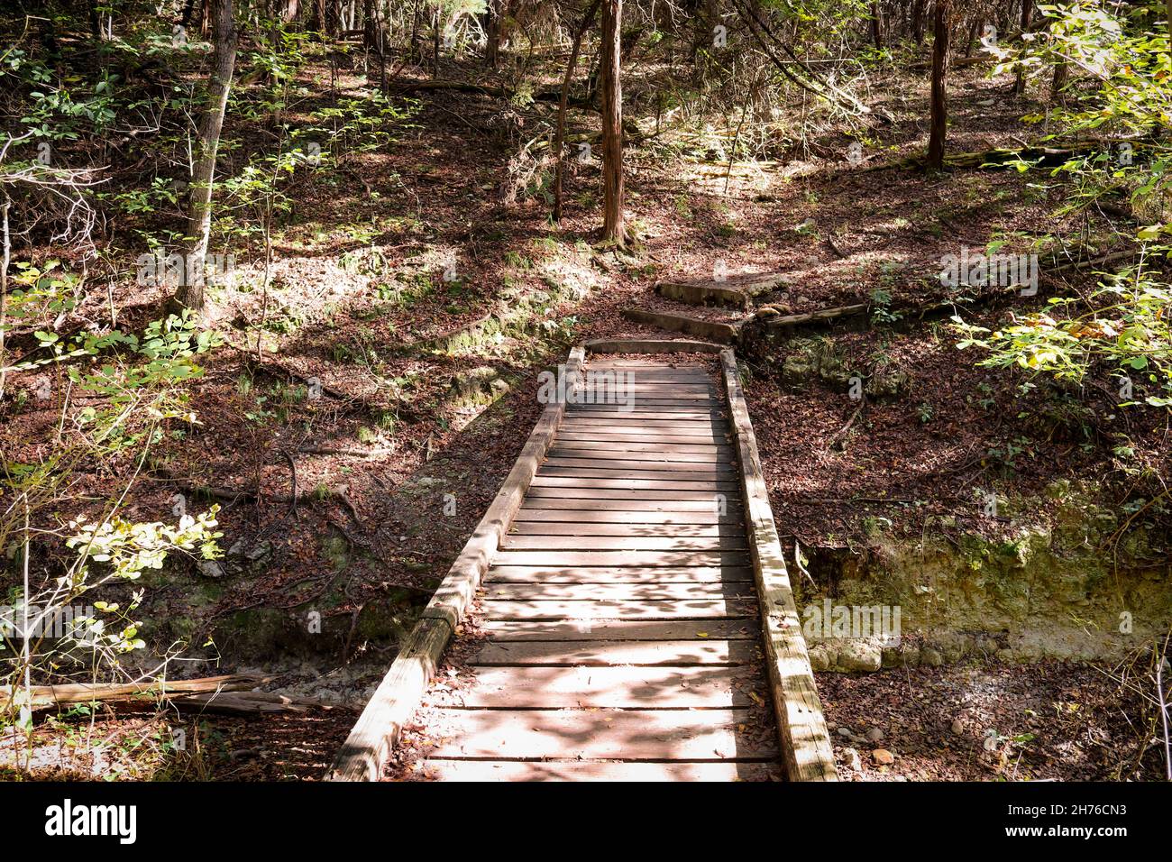 Holzbrücke auf einem Pfad im Wald Mother Neff State Park Texas Stockfoto
