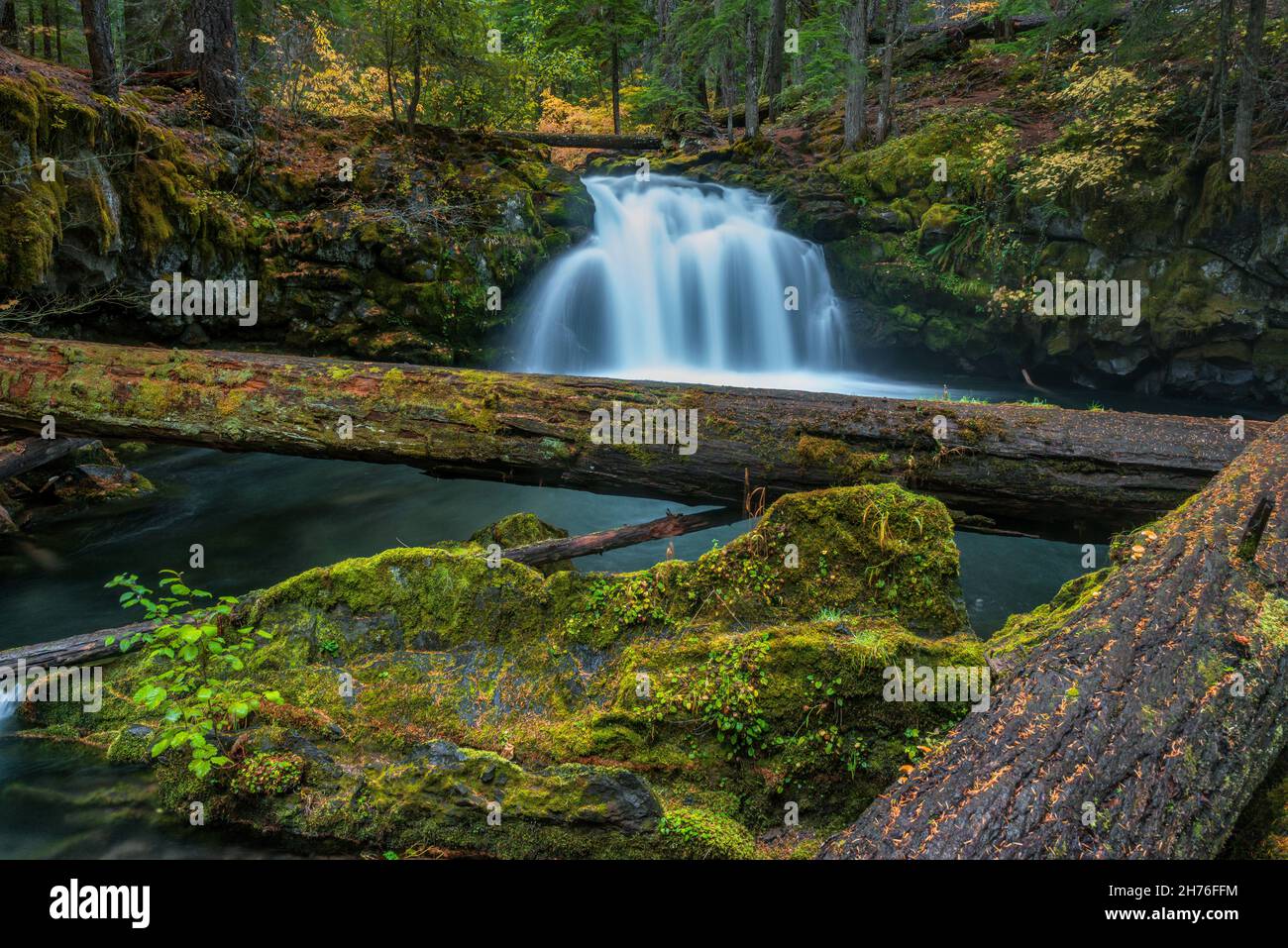 Whitehorse Falls, Umpqua River, Umpqua River Wild and Scenic River, Umpqua National Forest, Oregon Stockfoto