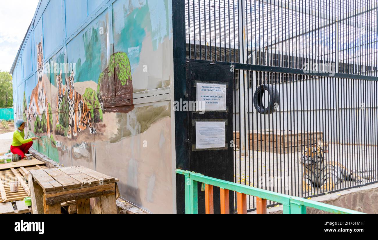 Eine Malerin malt Tiger an einer Käfigwand des Zoos, während ein echter Tiger hinter den Gittern chillt. Karagandy Zoo zoopark, Kasachstan, Zentralasien Stockfoto