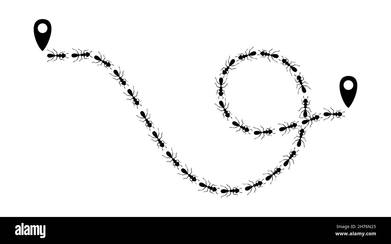 Ameisen-Pfad mit Positionssymbolen. Route oder Pfad auf weißem Hintergrund isoliert. Vektorgrafik Stock Vektor