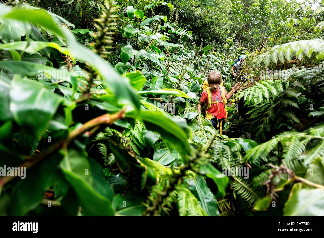 Mutter und Sohn wandern in dichter tropischer Vegetation auf dem Weg zum Wasserfall Cascata da Ribeira Grande, Flores Island, Azoren, Portugal Stockfoto