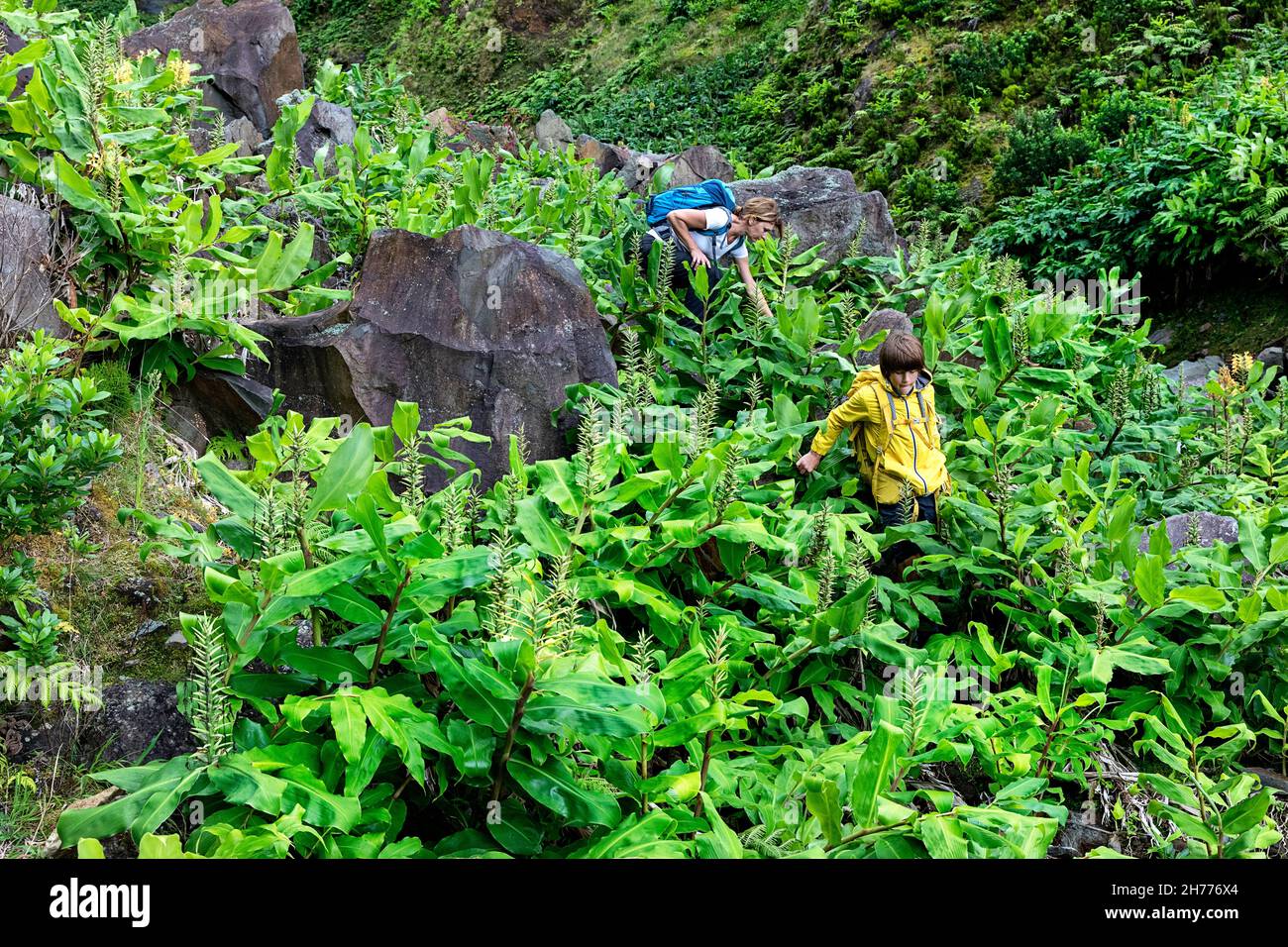 Mutter und Sohn wandern zum Wasserfall Ribeira grande. Flores, Azoren, Portugal Stockfoto