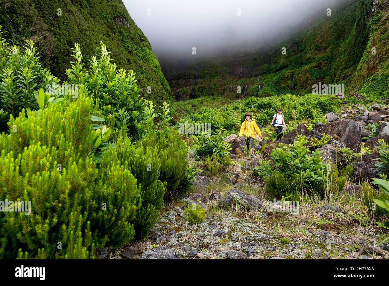 Mutter und Sohn wandern zum Wasserfall Ribeira grande. Flores, Azoren, Portugal Stockfoto