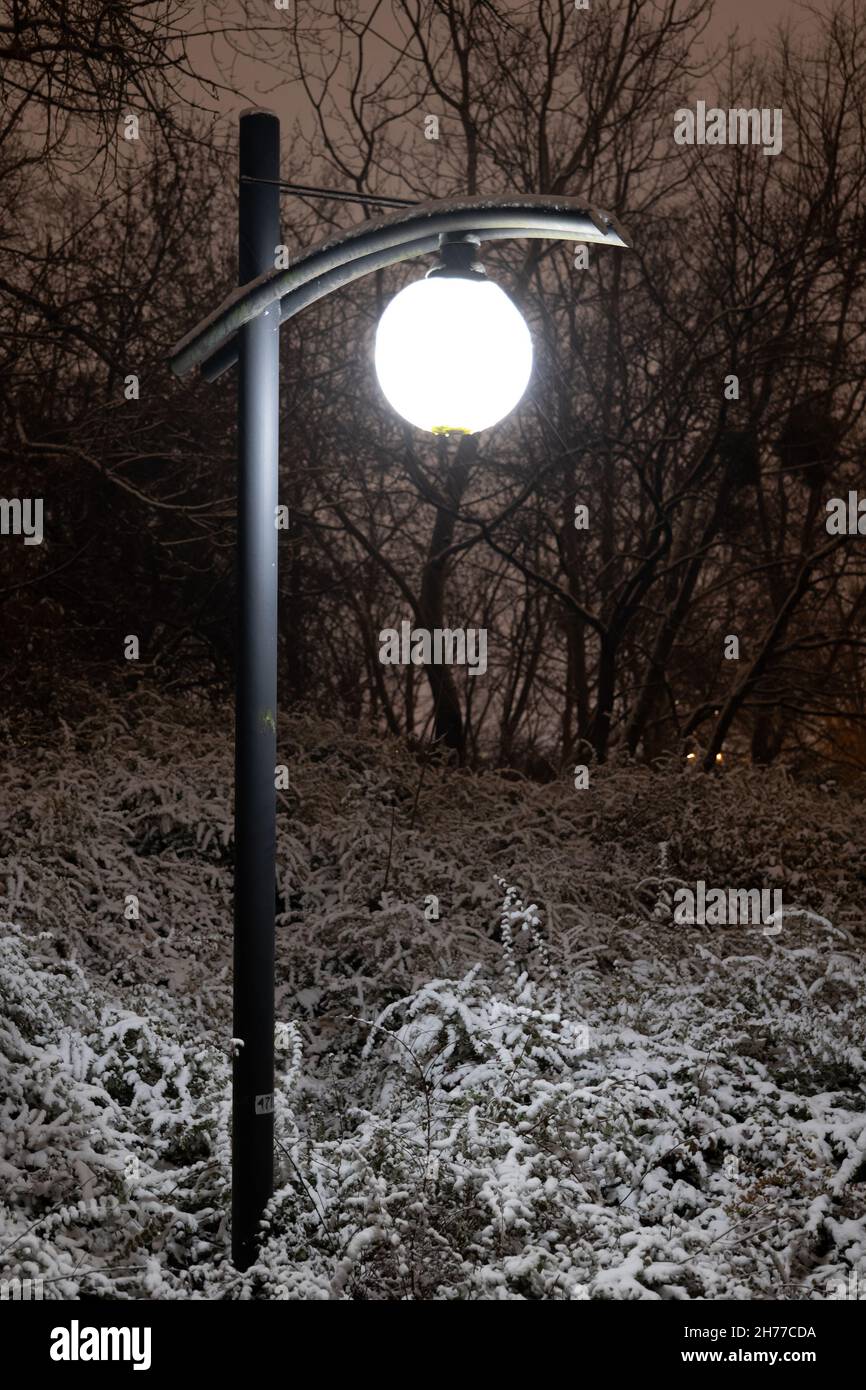 Parklampe einzelne Lichtquelle in der Nacht in der Wintersaison mit schneebedeckten Büschen. Stockfoto