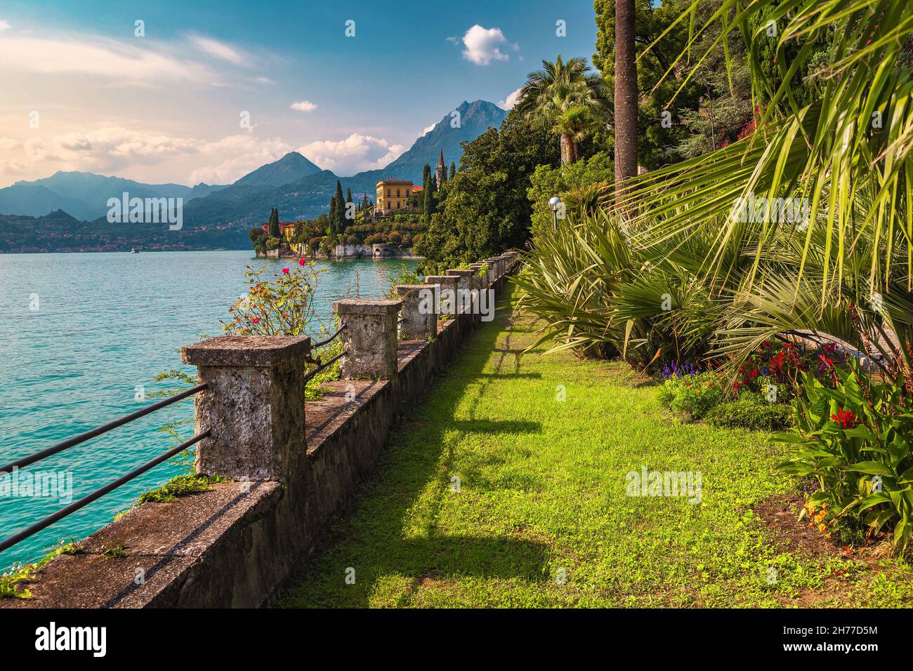 Dekorative grüne Pflanzen und mediterrane Blumen im Garten der Villa
