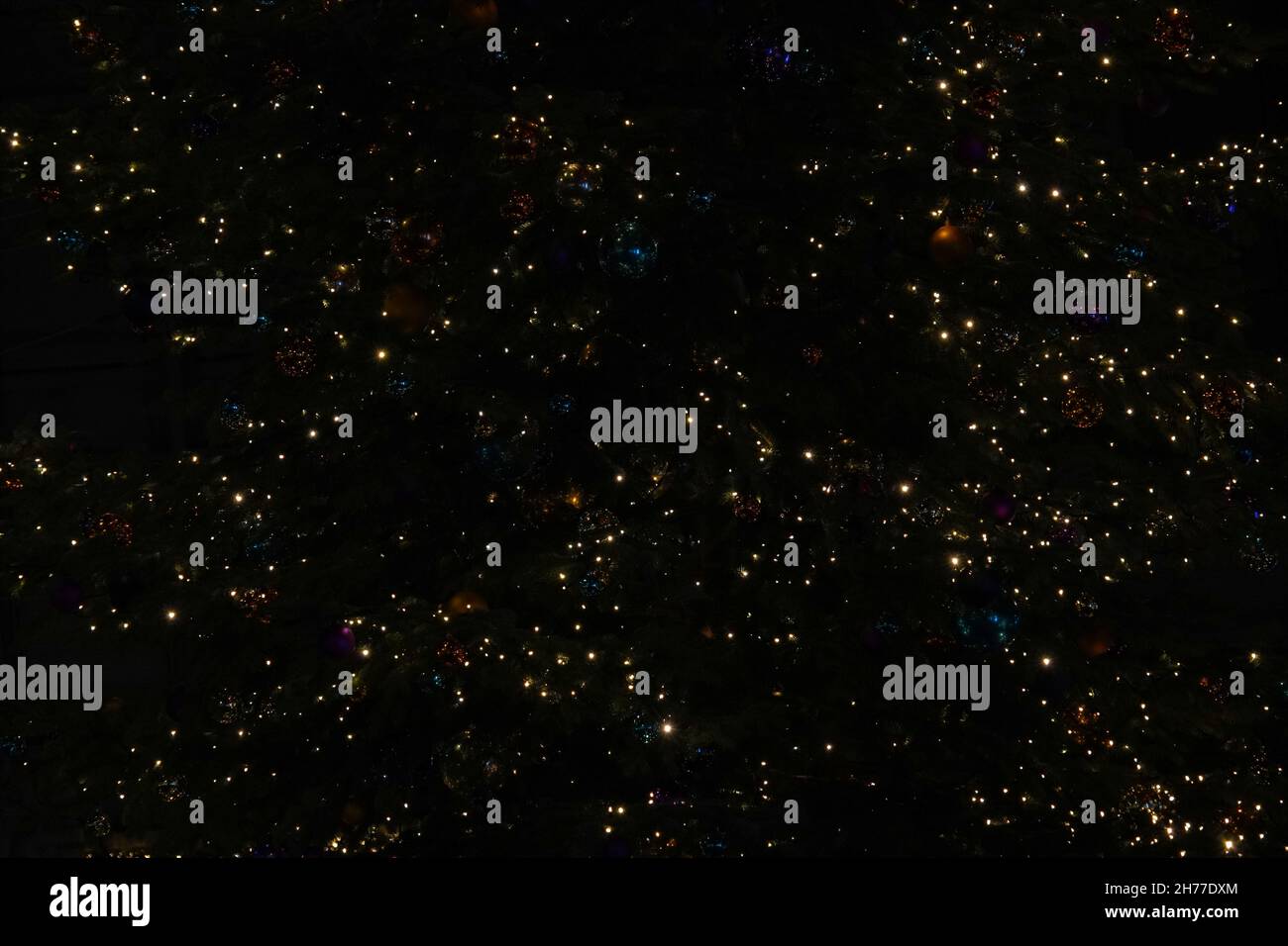 Bunte Weihnachtslichter auf einem Weihnachtsbaum bei Nacht im Freien. Geeignet als Weihnachten oder saisonalen Hintergrund. Stockfoto