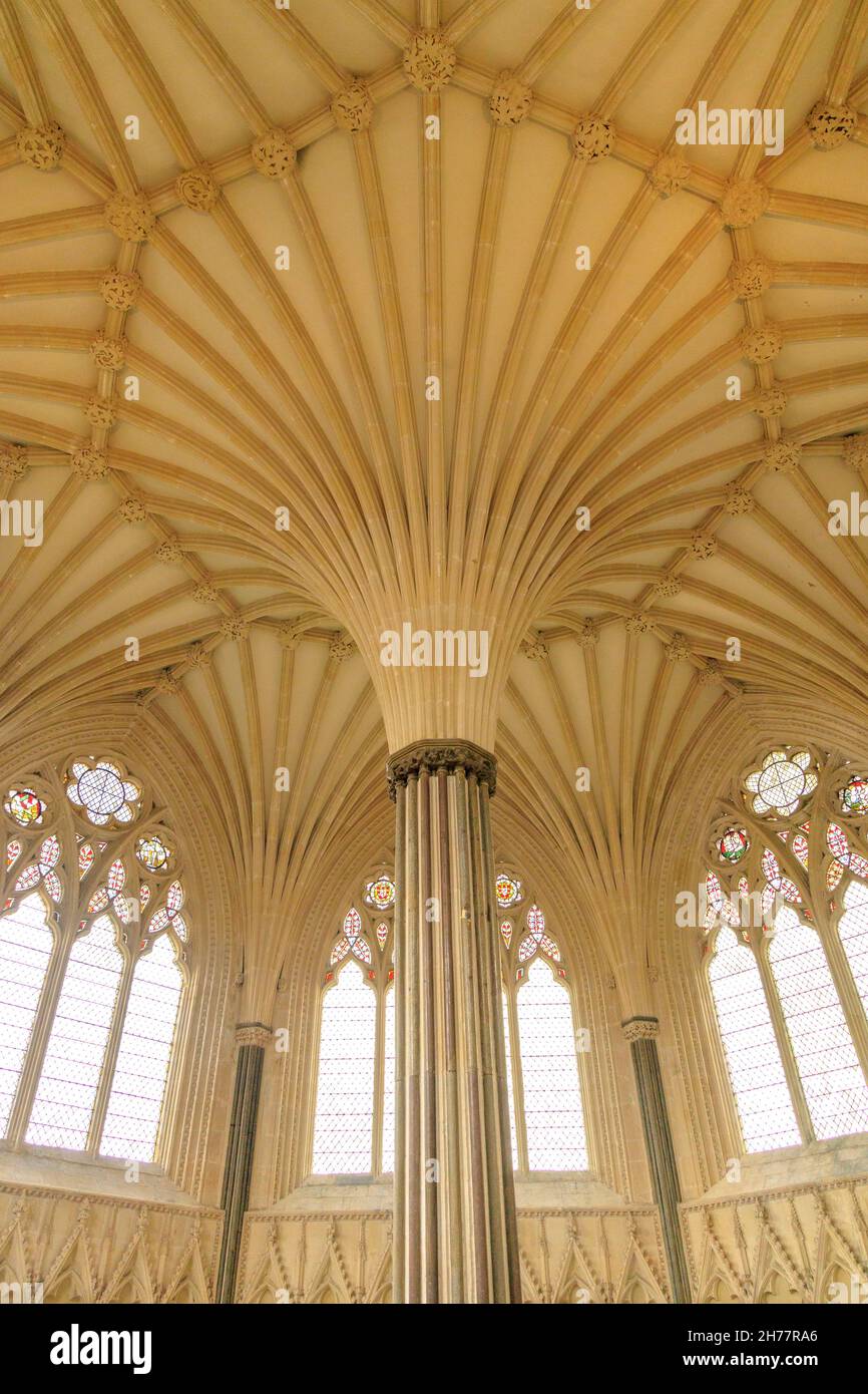 Innenansicht der Wells Cathedral - die prächtige gewölbte Decke des kreisförmigen Chapter House, Somerset, England, UK Stockfoto