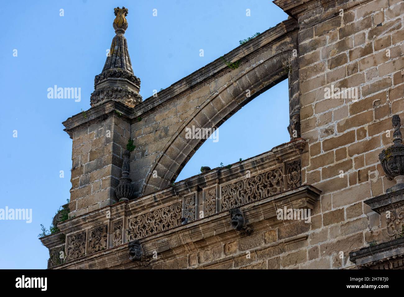 Portada y detalles de la Catedral de Nuestro Señor San Salvador de Jerez de la Frontera Stockfoto