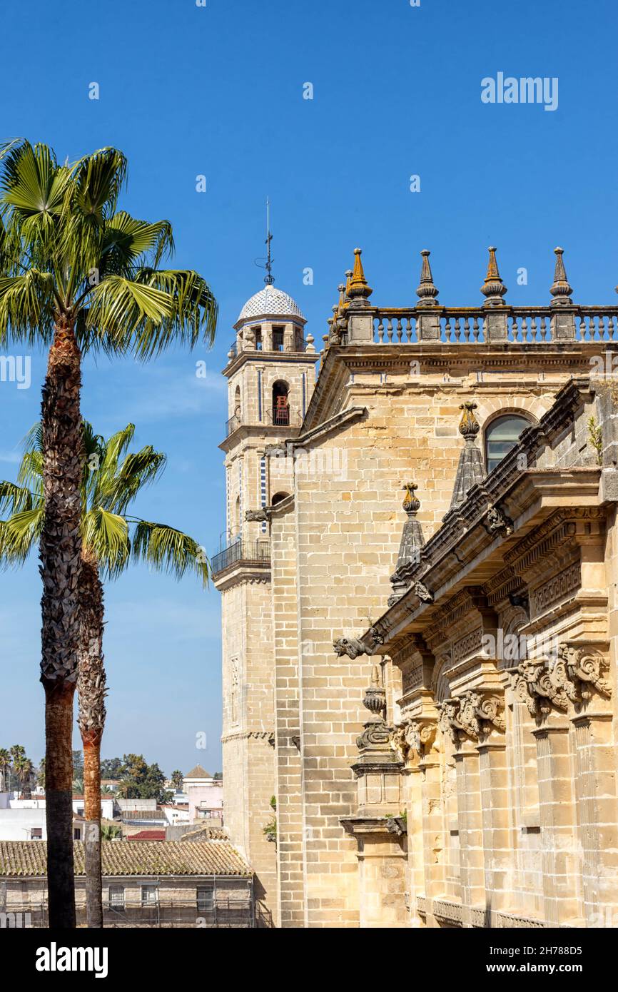 Vista lateral de la catedral de Jerez de la Frontera, Catedral Nuestro Señor San Salvador Stockfoto