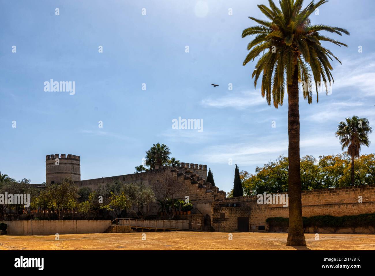 Festung Alcazar, Patio de Armas en Jerez de la Frontera, Real Alcazar Stockfoto