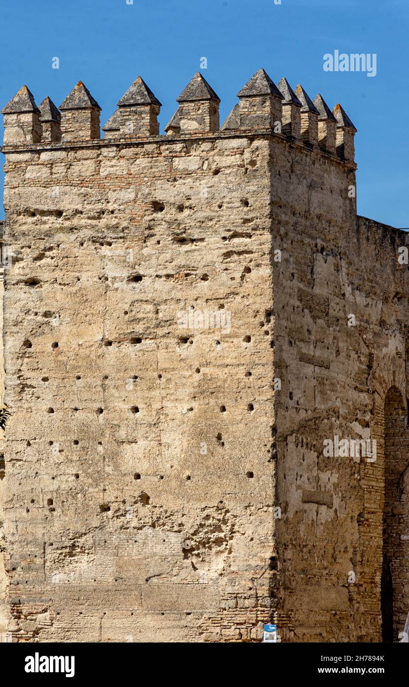 Festung Alcazar, en Jerez de la Frontera, Real Alcazar Stockfoto