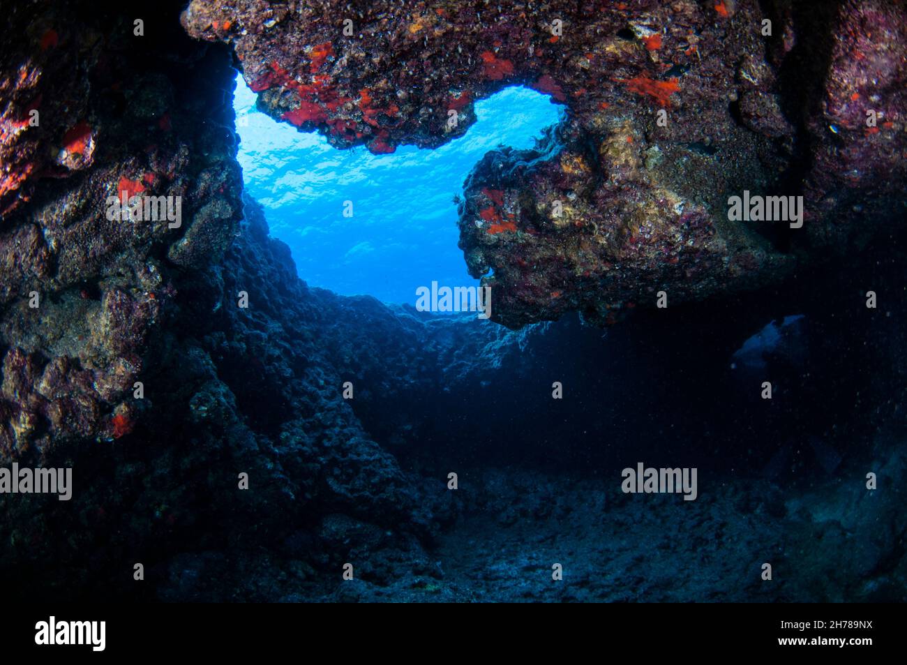 Taucher erkunden Höhlen und Felsen im Mittelmeer vor der Küste von Larnaka, Zypern, Stockfoto