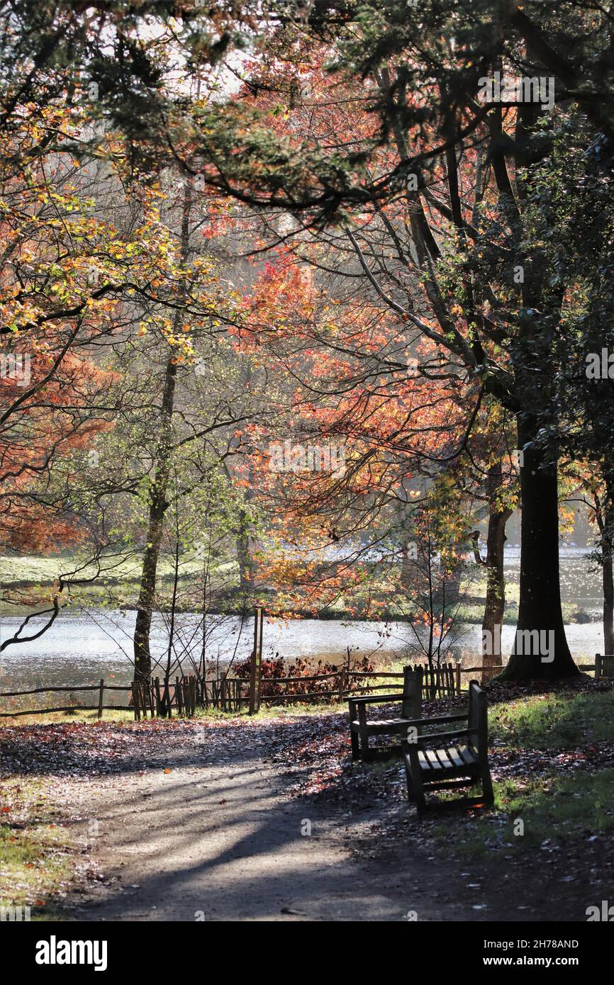 Herbst im park Stockfoto