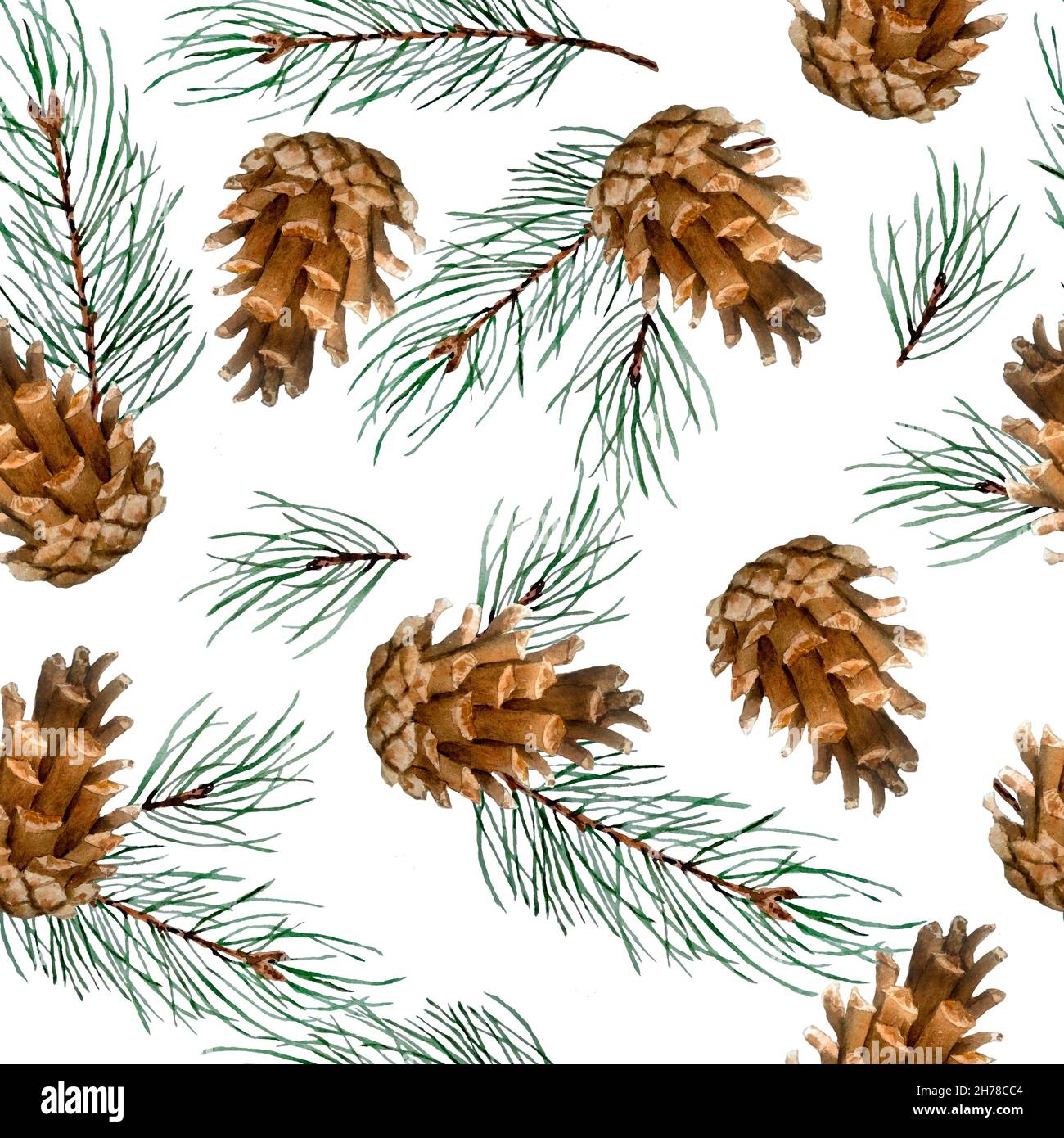 Aquarell handgezeichnetes nahtloses Muster mit Tannenzapfen Fichtenzweigen Zweige und Zapfen auf weißem Hintergrund, Weihnachts-Winter-Neujahr-Druck für Textilverpackungspapier, natürliche orhnische Farben grün immergrün brauner Stoff Stockfoto