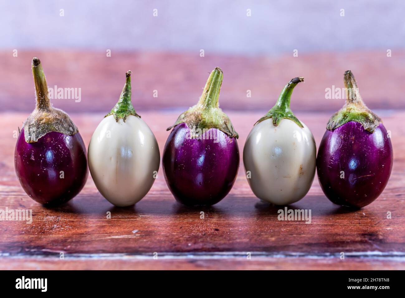 Eine Linie aus violetten und weißen Baby-Auberginen, mit einer geringen Schärfentiefe Stockfoto