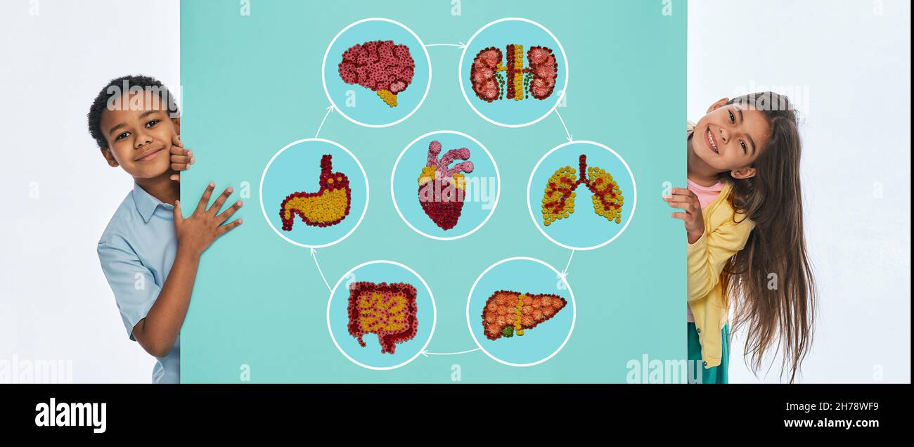 Kindergesundheitskonzept, Pädiatrie. Multiethnische Kinder in der Nähe einer türkisfarbenen Wand mit anatomischen Ikonen mit Abbildungen der inneren Organe Stockfoto