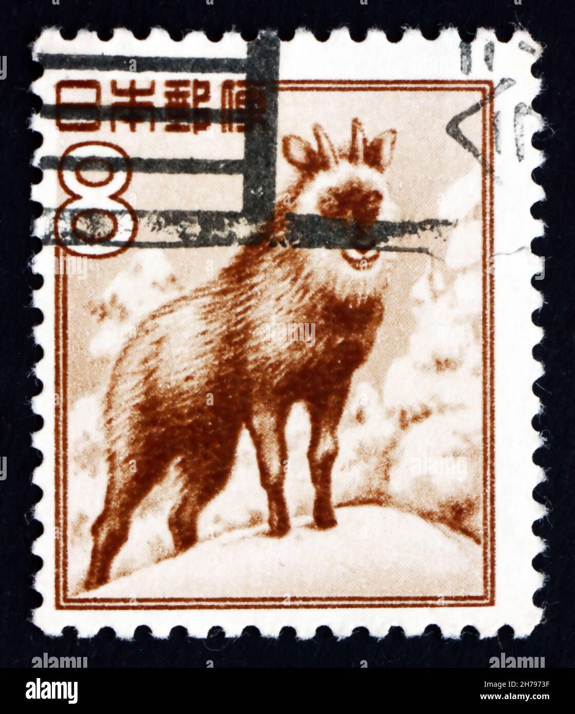 JAPAN - UM 1952: Eine in Japan gedruckte Briefmarke zeigt japanischen Serow, Capricornis Crispus, Ziegenantilope, um 1952 Stockfoto