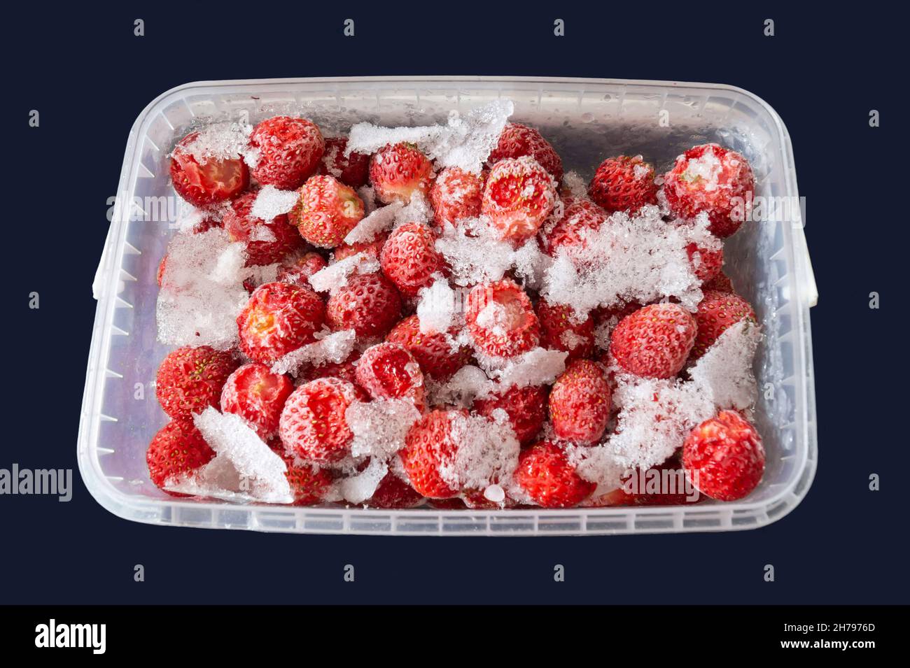 Gefrorene Erdbeeren in einem Plastikbehälter. Wunderschöner Hintergrund für das Essen Stockfoto