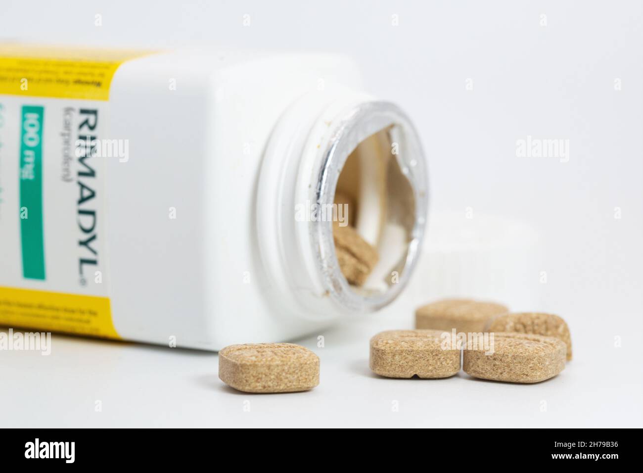 Eine Flasche Rimadyl (Carpofen), ein Medikament gegen Arthrose und  Schmerzen bei Hunden Stockfotografie - Alamy