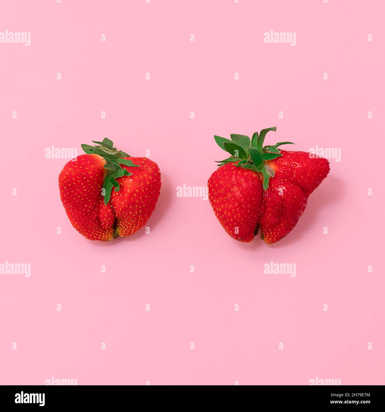 Draufsicht auf deformierte Erdbeeren auf hellrosa Hintergrund. Hässliches Konzept für die Lebensmittelbewegung Stockfoto