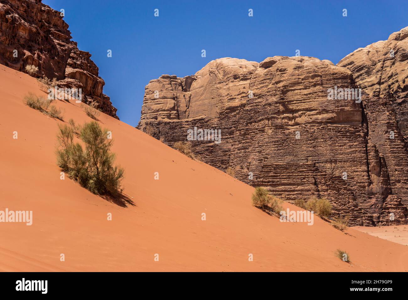 Rot gefärbter Sand in der Wadi Rum Wüste in Jordanien Stockfoto