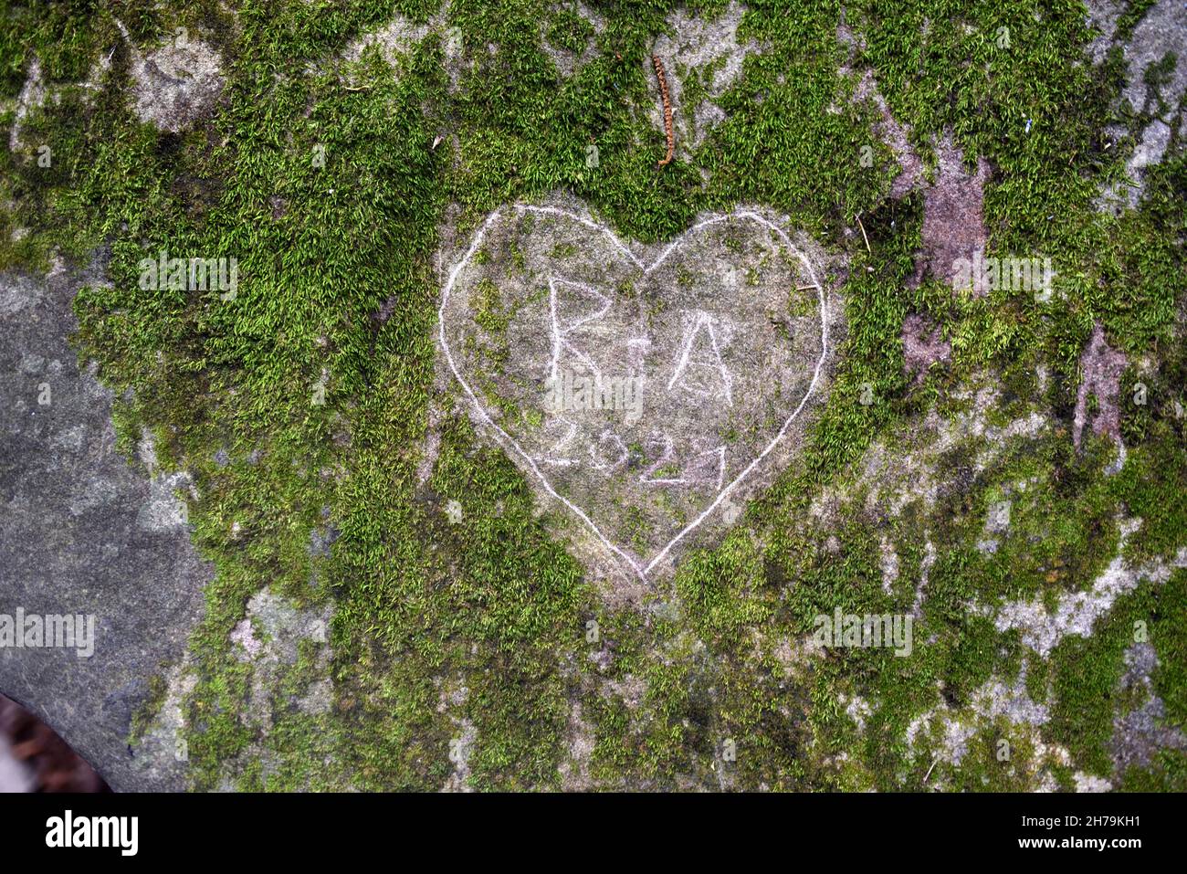 Grünes Herz in Moss oder auf Mossy Boulder oder Moss-Covered Rock geschnitzt Stockfoto